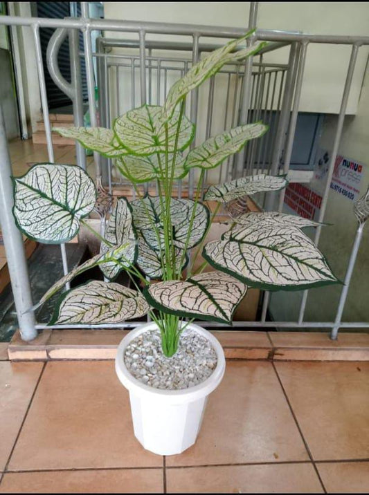 Flower, pot and toppings all inclusive